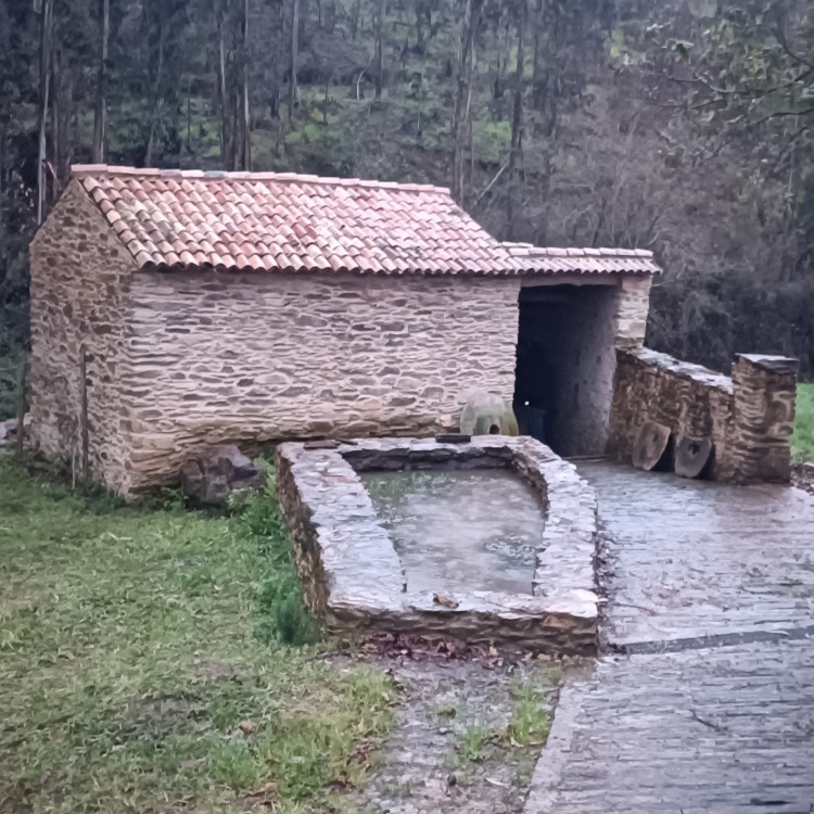 O arroz que o teatro descascou